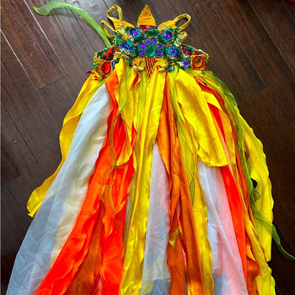 Professional Belly Dance Costume-Hand Stitched Beading